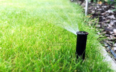 3 leggyakoribb automata öntözőrendszer tervezési hiba